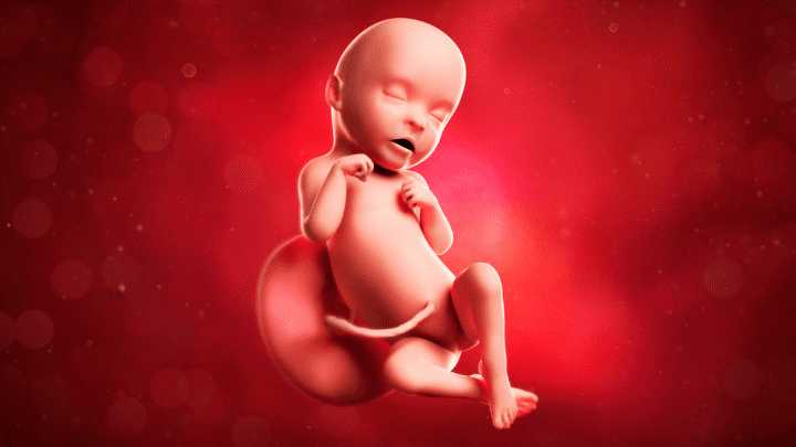 Anne Karnında Bebeğin Titrer Gibi Hareket Etmesi