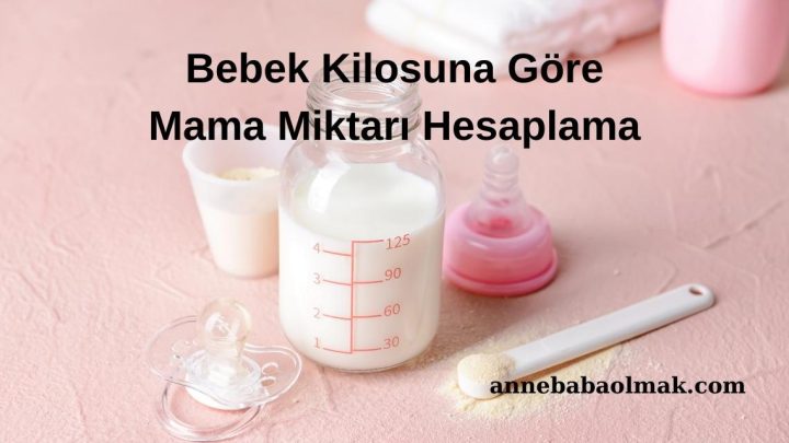 Bebek Kilosuna Göre Mama Miktarı Hesaplama