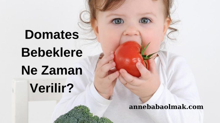 Domates Bebeklere Ne Zaman Verilir?