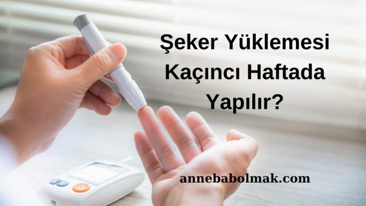 Şeker Yüklemesi Kaçıncı Haftada Yapılır?
